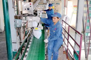 喜訊 精河鹽化公司榮獲國(guó)家高新技術(shù)企業(yè)稱號(hào)